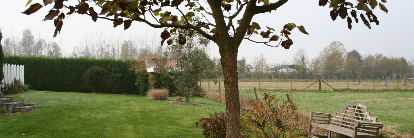 beeld_tuin